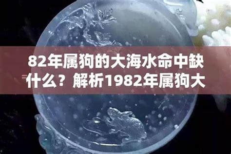 大海水命1982|1982年出生的壬戌年生大海水命，顾家之犬